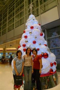 O Christmas Tree..